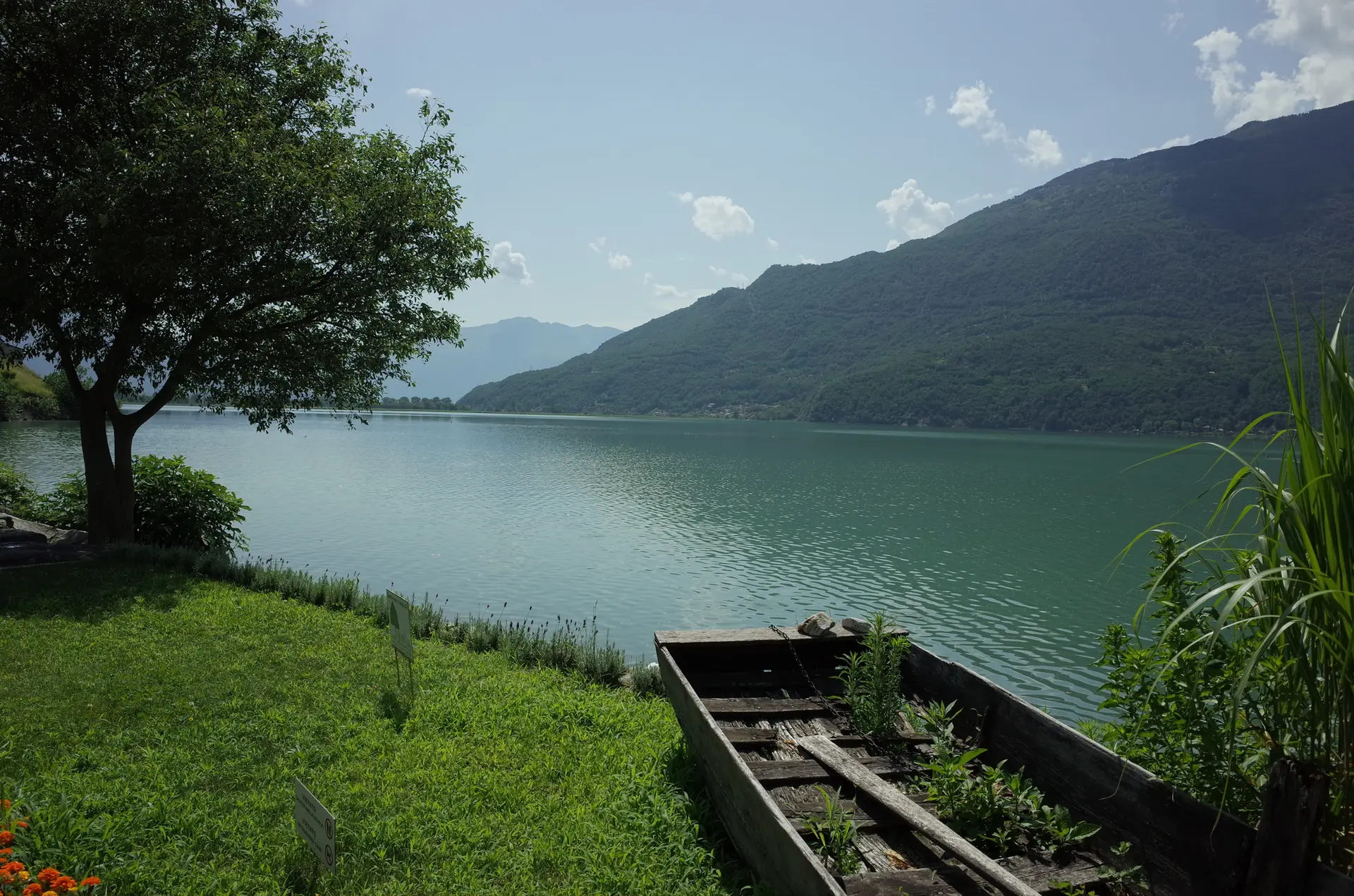 Lago di Mezzola — pontile in legno, acqua trasparente e montagne